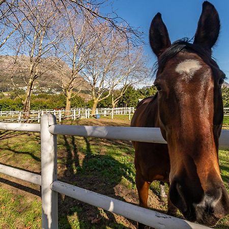 Novelle Vista Cottage Hout Bay Εξωτερικό φωτογραφία