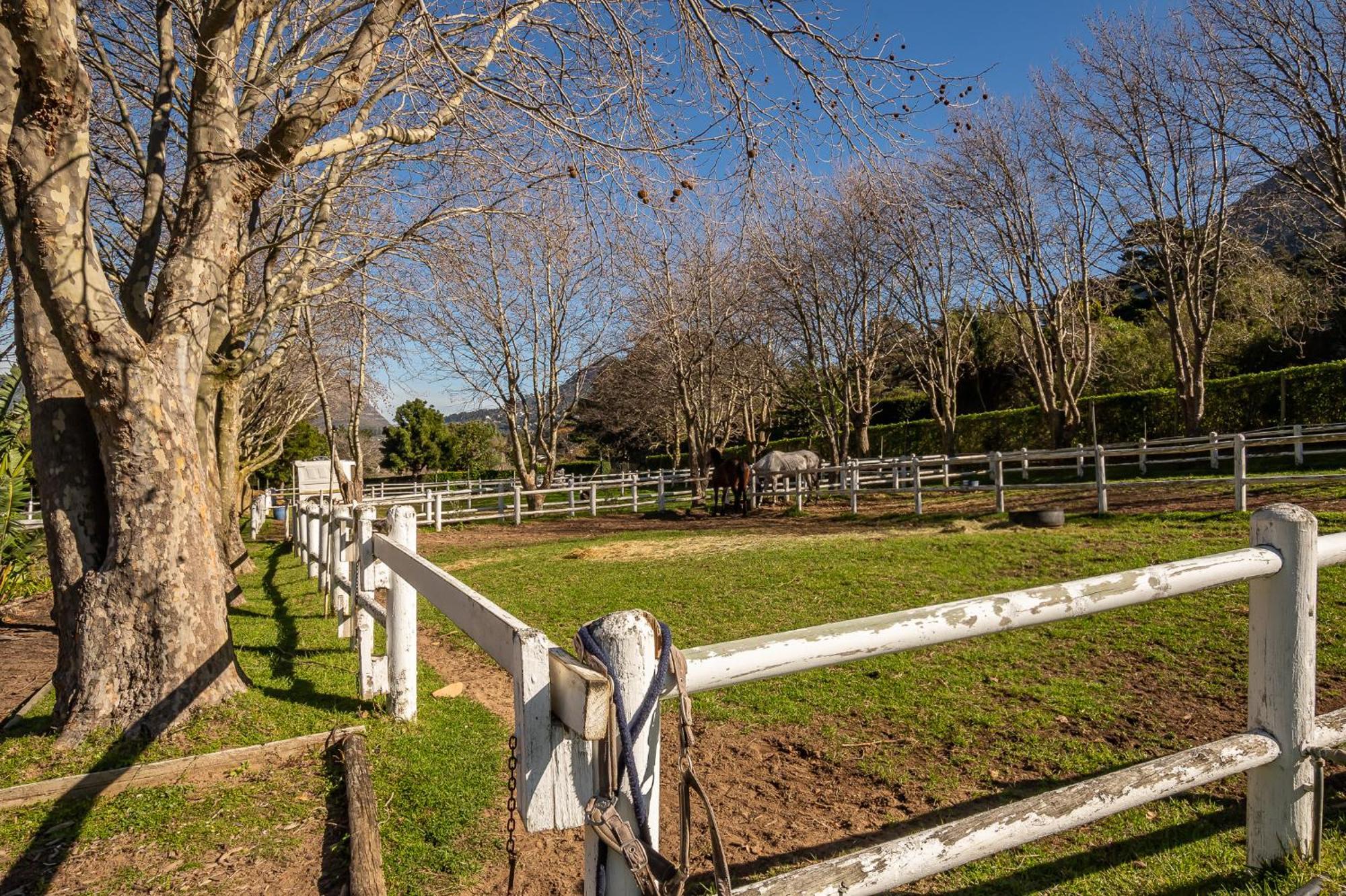 Novelle Vista Cottage Hout Bay Εξωτερικό φωτογραφία